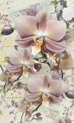 Подарочный пакет "Орхидея бежевая" 11х18х5 см. pak-18 фото