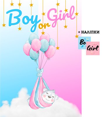 Плакат на день рождения "Гендерная вечеринка" +наклейки Girl/Boy 85х120 см 6008-0307 фото