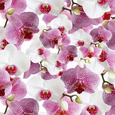 Пакувальний подарунковий папір "Орхідея рожево-біла" (25л) papir-142 фото