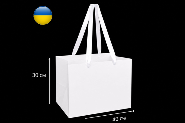 Пакет-переноска "Белый" 30х40х27 см 255-9360 фото