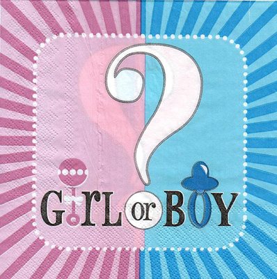 Салфетки "Boy or Girl" (33х33) (15 штук) 9941 фото